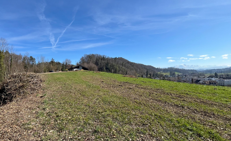 Baustart auf dem Sonnenberg Baufeld mit spektakulärem Blick auf den Säntis